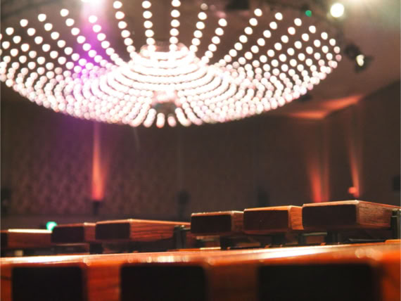 Galeriebild Ensemble harfussion