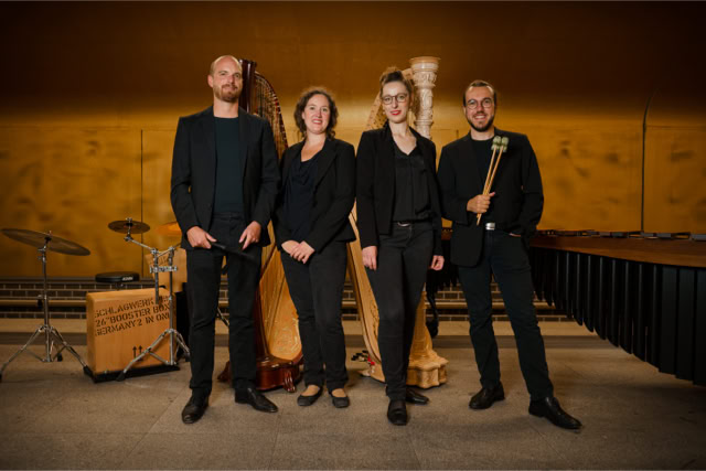 Galeriebild Ensemble harfussion