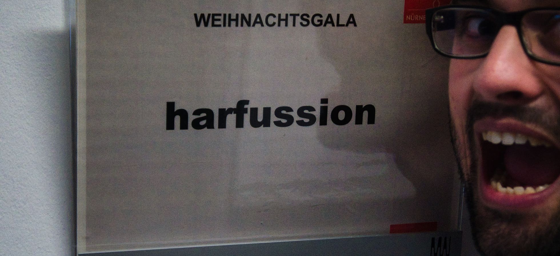 Galeriebild Ensemble harfussion